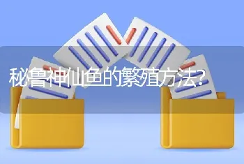 秘鲁神仙鱼的繁殖方法？