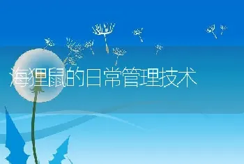 海狸鼠的日常管理技术