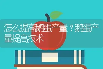 怎么提高鹅蛋产量？鹅蛋产量提高技术