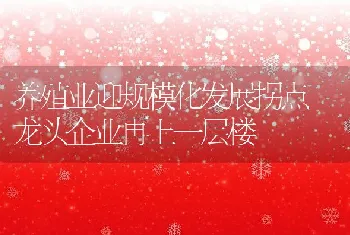 养殖业迎规模化发展拐点龙头企业再上一层楼