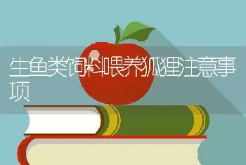 生鱼类饲料喂养狐狸注意事项