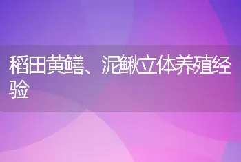 稻田黄鳝、泥鳅立体养殖经验