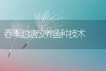 春季池塘放养鱼种技术