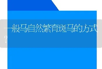 招财鱼是什么呢？