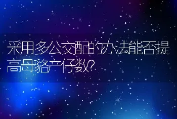 沙棘林病虫鼠害种类及其防治方法