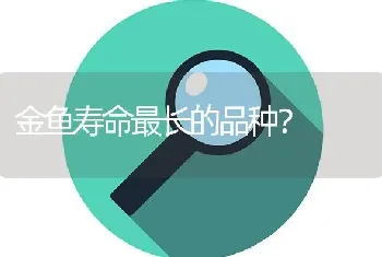 鹤顶红金鱼身上发黄？