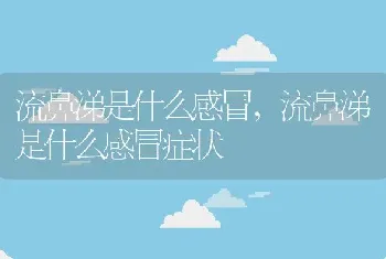 流鼻涕是什么感冒，流鼻涕是什么感冒症状