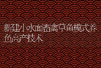 高饲料成本下如何养牛