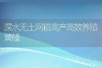 深水无土网箱高产高效养殖黄鳝