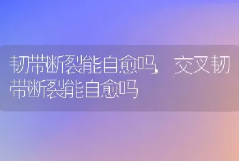 韧带断裂能自愈吗，交叉韧带断裂能自愈吗