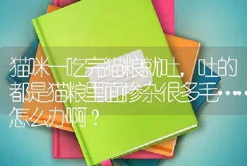 猫咪一吃完猫粮就吐，吐的都是猫粮里面掺杂很多毛……怎么办啊？