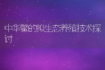 中华鳖的拟生态养殖技术探讨