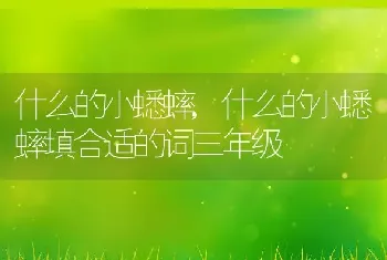 什么的小蟋蟀，什么的小蟋蟀填合适的词三年级