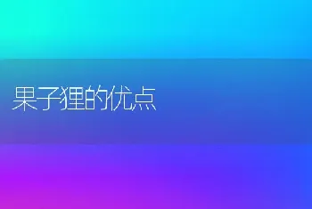 果子狸的优点