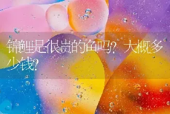 锦鲤是很贵的鱼吗？大概多少钱？