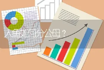 人鱼如何分公母？