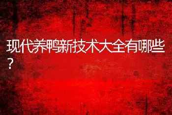 现代养鸭新技术大全有哪些？