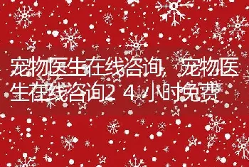 宠物医生在线咨询，宠物医生在线咨询24小时免费