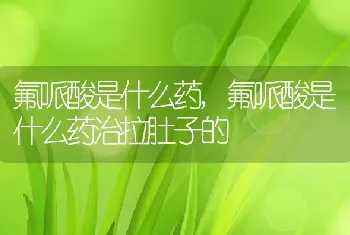 氟哌酸是什么药，氟哌酸是什么药治拉肚子的