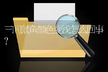 三间鼠鱼颜色变浅怎么回事？