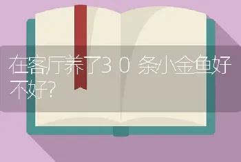 在客厅养了30条小金鱼好不好？