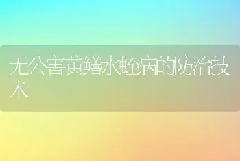 无公害黄鳝水蛭病的防治技术