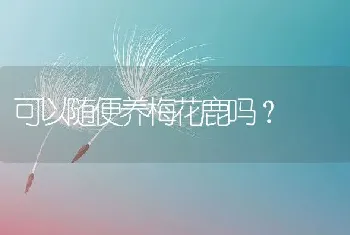 可以随便养梅花鹿吗？