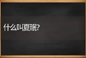 什么叫夏眠？