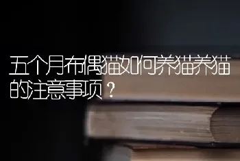 狗狗细小从第几天算？