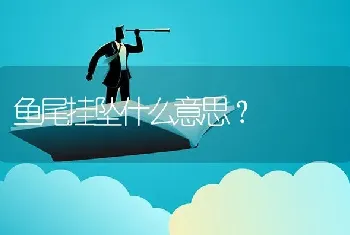 鱼尾挂坠什么意思？