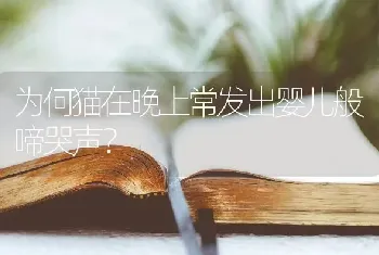 为何猫在晚上常发出婴儿般啼哭声？