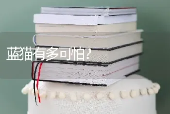 蓝猫有多可怕？