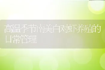 高温季节南美白对虾养殖的日常管理