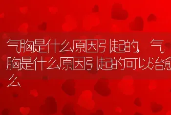 气胸是什么原因引起的，气胸是什么原因引起的可以治愈么