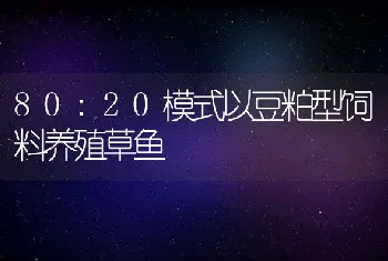 80:20模式以豆粕型饲料养殖草鱼