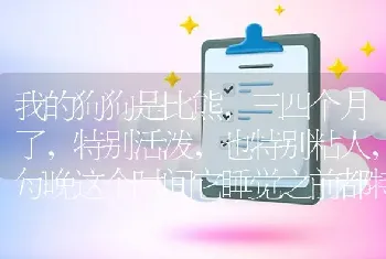 我的狗狗是比熊，三四个月了，特别活泼，也特别粘人，每晚这个时间它睡觉之前都特别兴奋，特别疯，有一个？