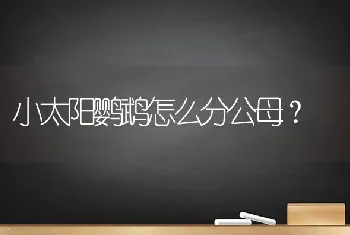 小太阳鹦鹉怎么分公母？