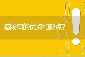 腊肠狗的优点和缺点？