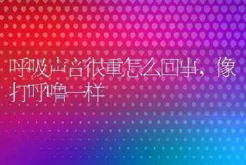 呼吸声音很重怎么回事，像打呼噜一样