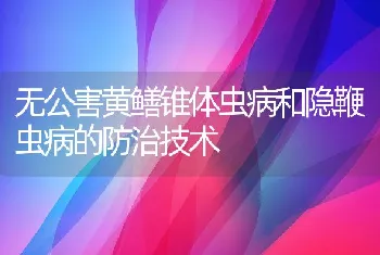 无公害黄鳝锥体虫病和隐鞭虫病的防治技术