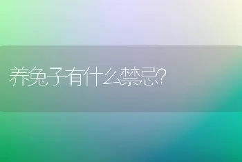 养兔子有什么禁忌？