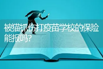 被猫抓伤打疫苗学校的保险能报吗？