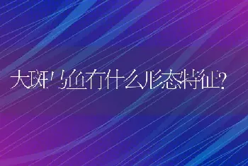 乌龟可以和弹涂鱼一起养吗？