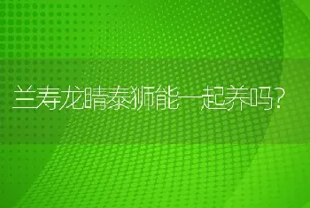 兰寿龙睛泰狮能一起养吗？