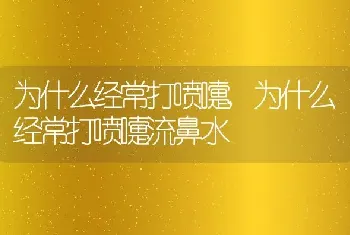 为什么经常打喷嚏，为什么经常打喷嚏流鼻水