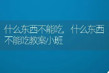 什么东西不能吃，什么东西不能吃教案小班