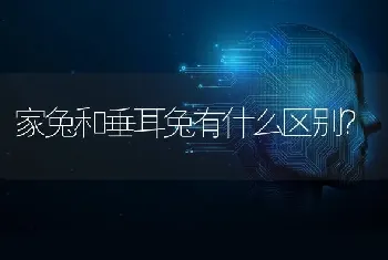 家兔和垂耳兔有什么区别？