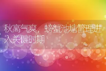 秋高气爽，螃蟹池塘管理进入关健时期