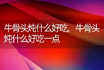 牛骨头炖什么好吃，牛骨头炖什么好吃一点