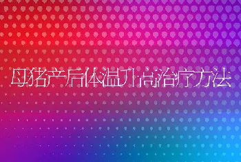 母猪产后体温升高治疗方法